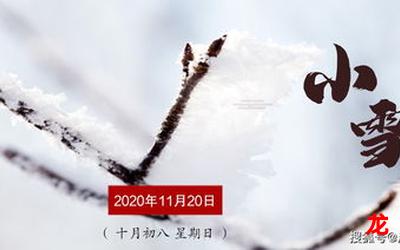 秦川北雪衣-秦川北雪衣全文免费阅读——（全文,完本）